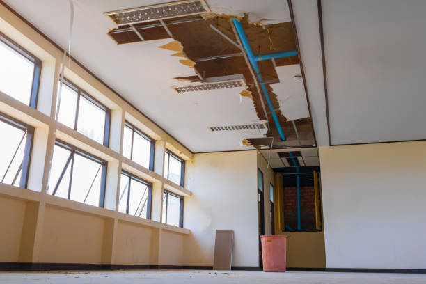 Best Water damage cleanup near me  in Pinson, AL