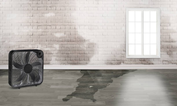 Best Residential water damage restoration  in Pinson, AL