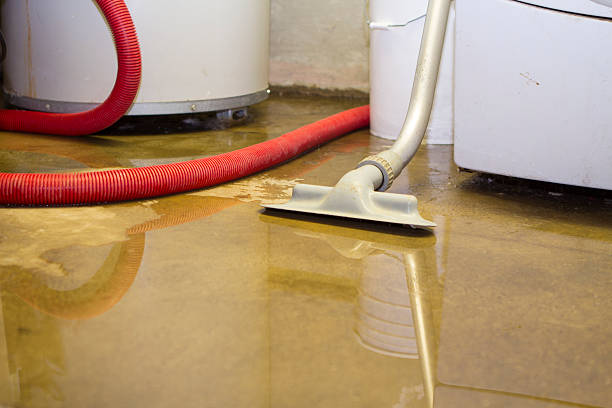 Best Water damage restoration near me  in Pinson, AL