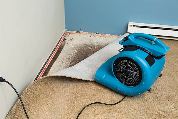 Best Ceiling water damage repair  in Pinson, AL